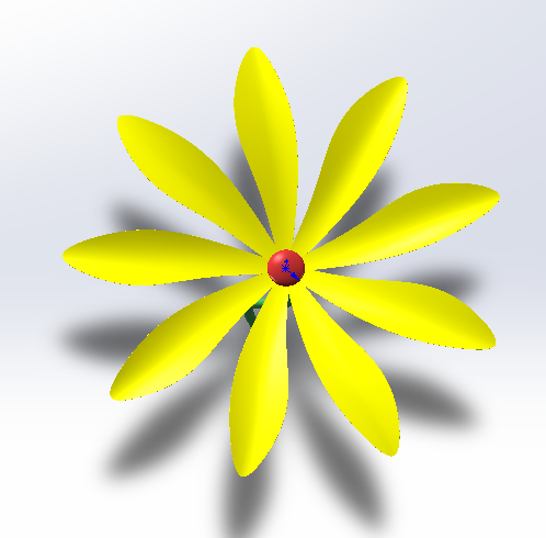 小黄花模型