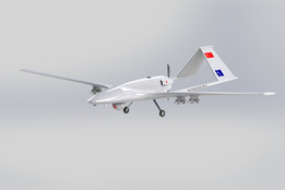 Bayraktar TB-2 |���˻�