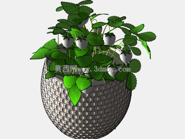 草莓