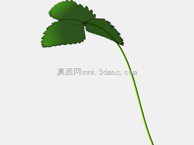 草莓