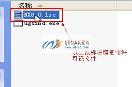 找到许可证文件