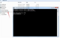 SW2020�������İ��ƽ�